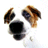VikkiGT4's Avatar